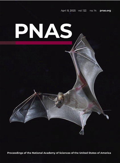 PNAS cover, April 8, 2025: a bat in flight